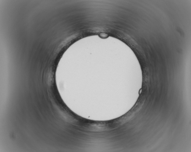 X0000112880164200910021400