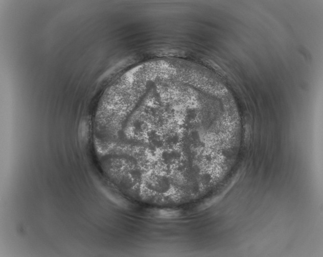 X0000112880165200910021400