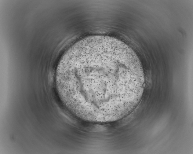 X0000112880166200910021400