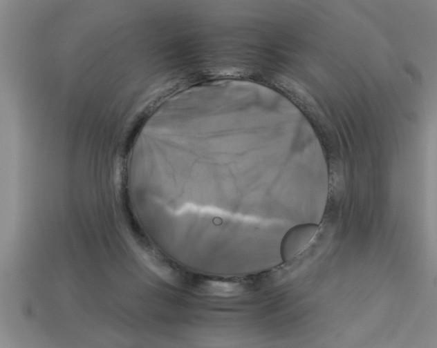 X0000112880167200910021400