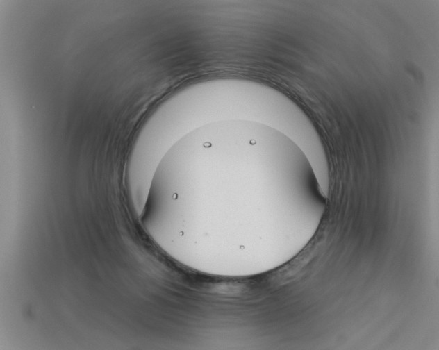 X0000112880168200910021400