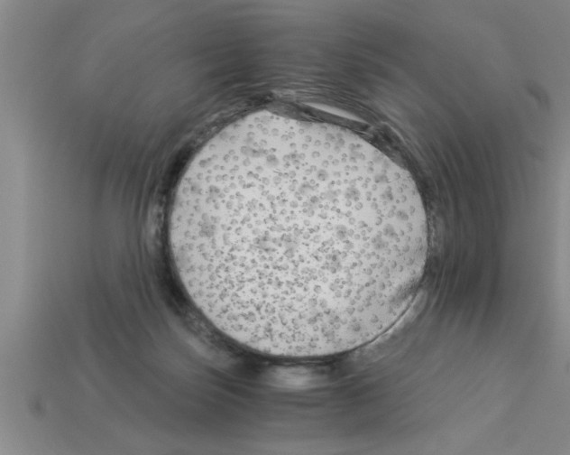 X0000112880171200910021400