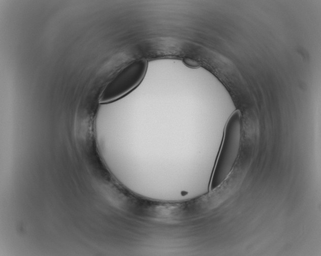 X0000112880172200910021400