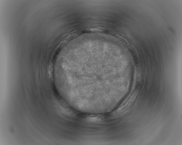 X0000112880175200910021400