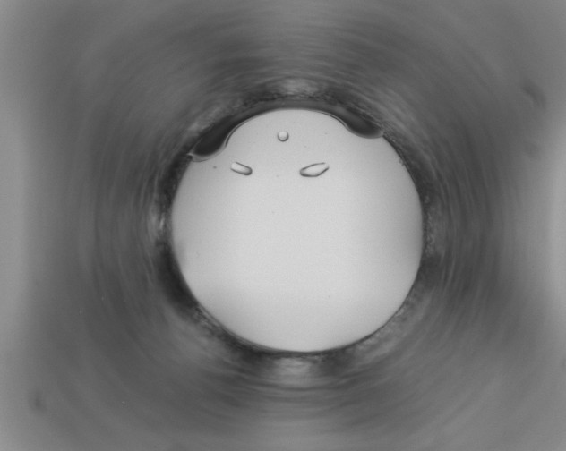 X0000112880176200910021400