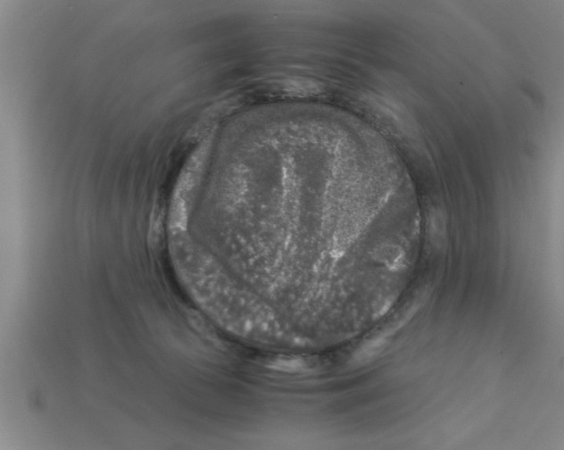 X0000112880177200910021400