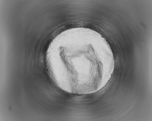 X0000112880178200910021400