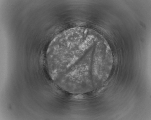 X0000112880181200910021400