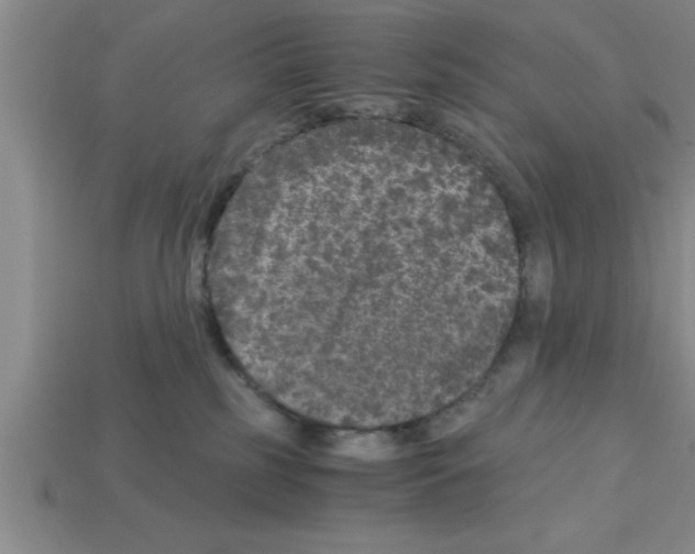 X0000112880185200910021400