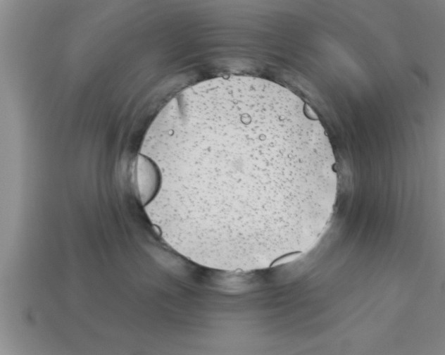 X0000112880191200910021400