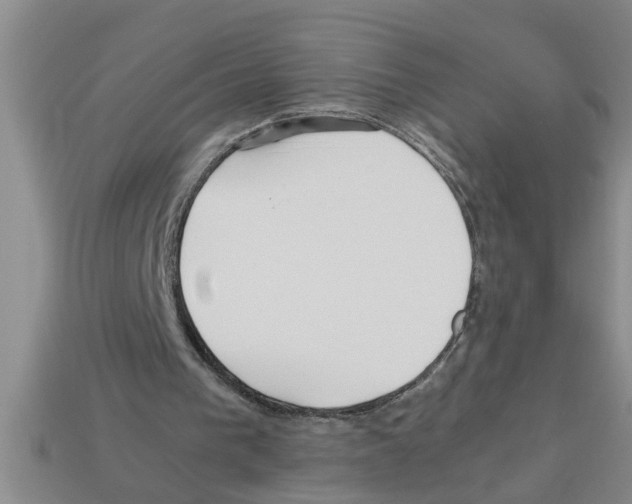 X0000112880193200910021400