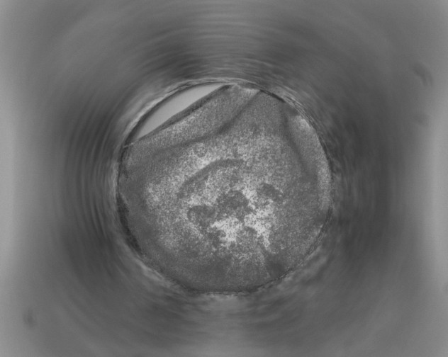 X0000112880194200910021400