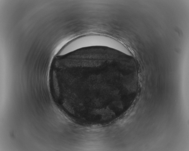 X0000112880196200910021400