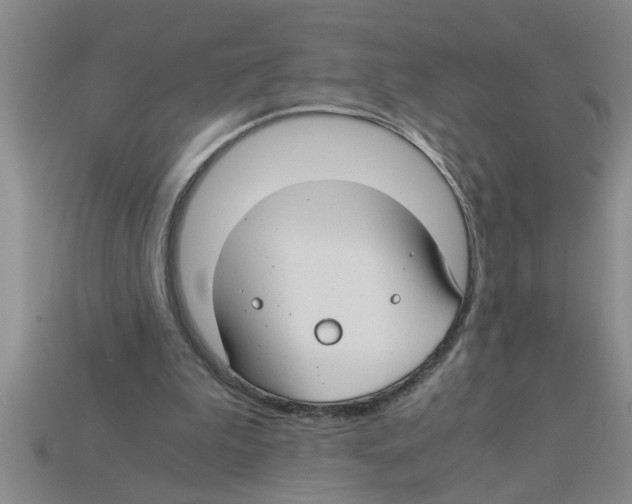 X0000112880199200910021400