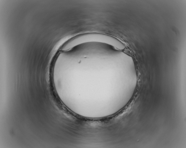 X0000112880200200910021400