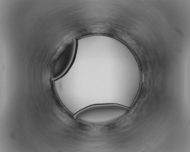 X0000112880201200910021400