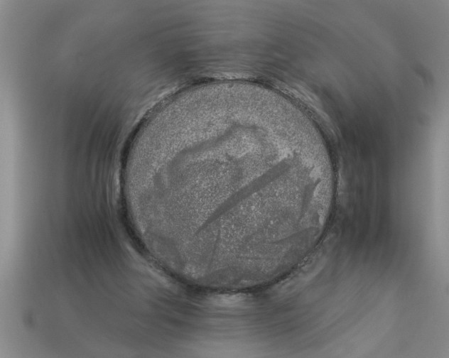 X0000112880202200910021400