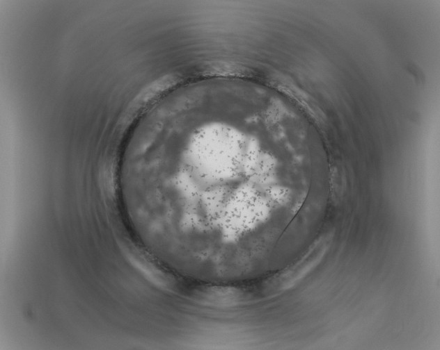 X0000112880203200910021400