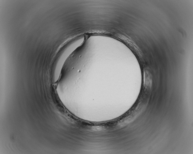 X0000112880204200910021400