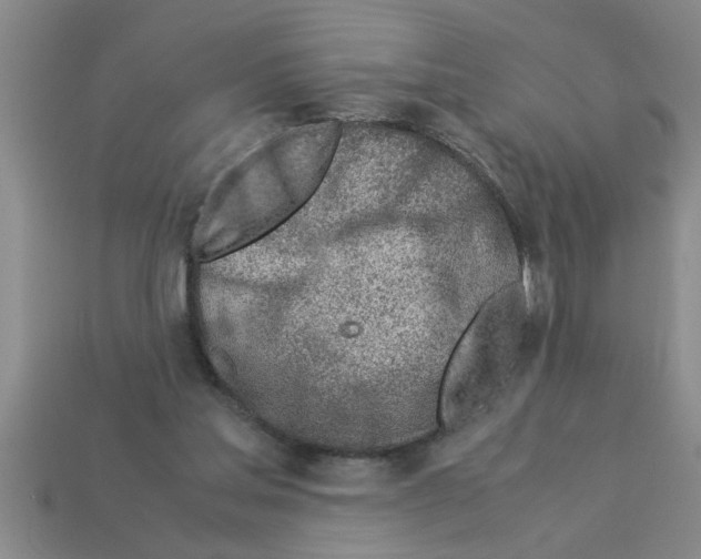 X0000112880205200910021400