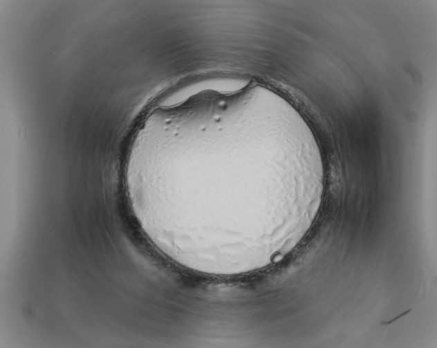 X0000112880208200910021359