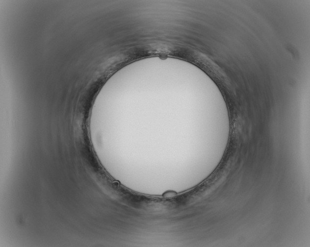 X0000112880209200910021359