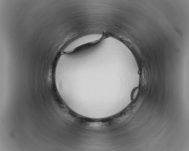 X0000112880212200910021359