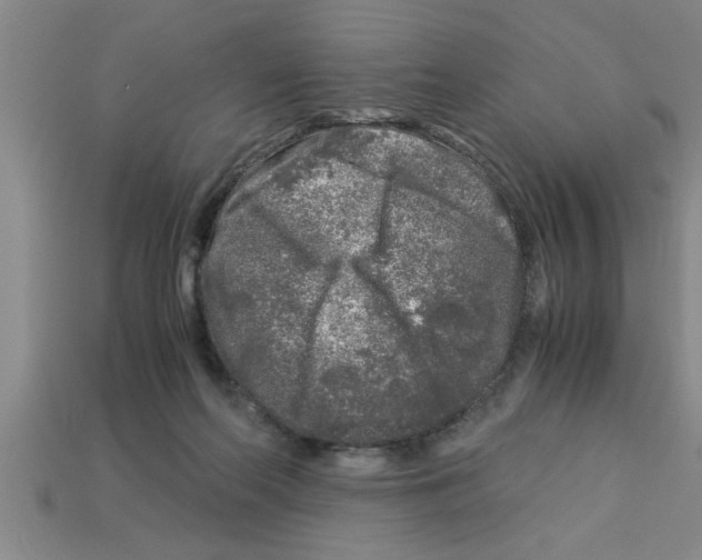 X0000112880214200910021359