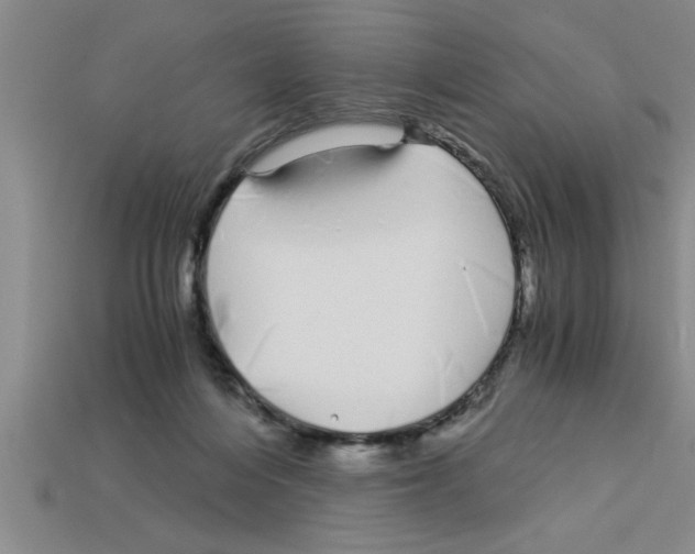 X0000112880216200910021359