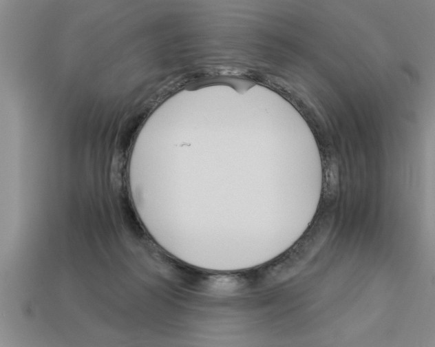 X0000112880218200910021359