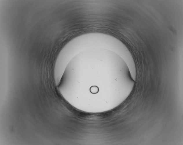 X0000112880219200910021359