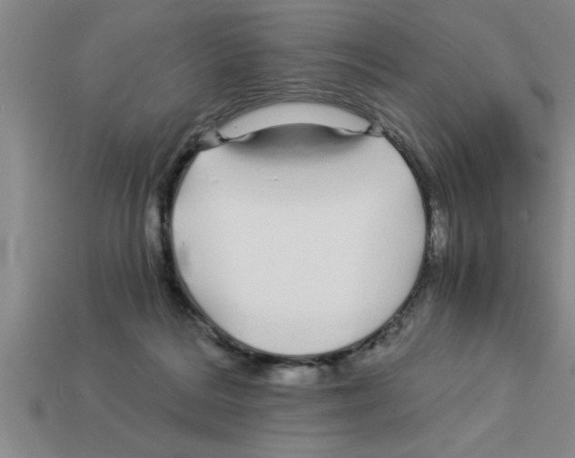 X0000112880220200910021359