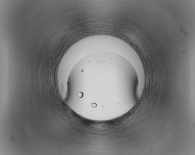 X0000112880221200910021359