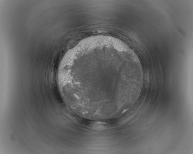 X0000112880222200910021359