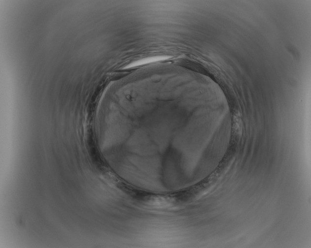 X0000112880223200910021359