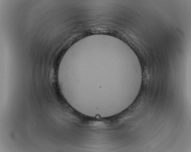 X0000112880224200910021359