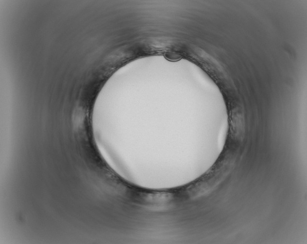 X0000112880225200910021359