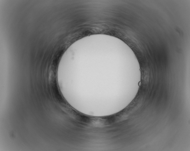 X0000112880226200910021359