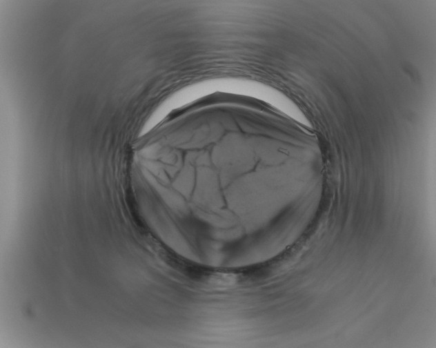 X0000112880227200910021359