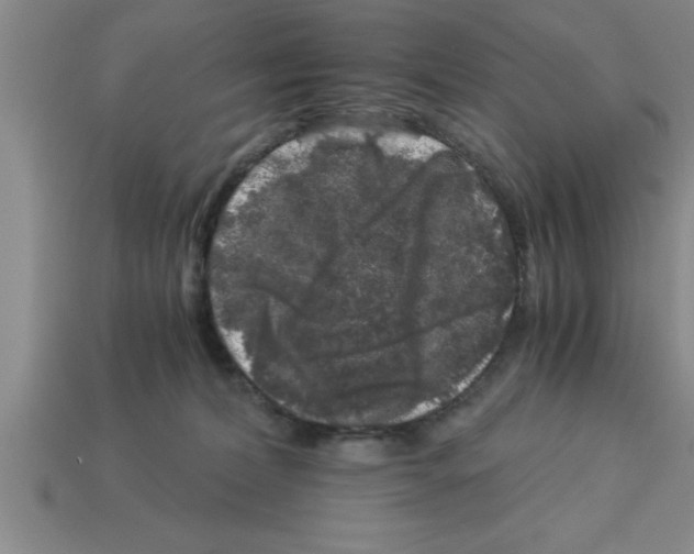 X0000112880228200910021359