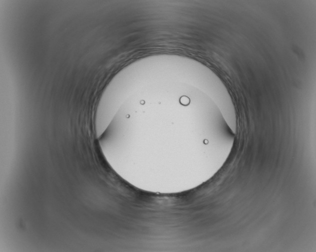 X0000112880233200910021359