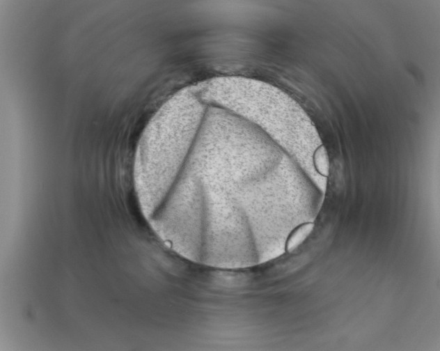 X0000112880234200910021359