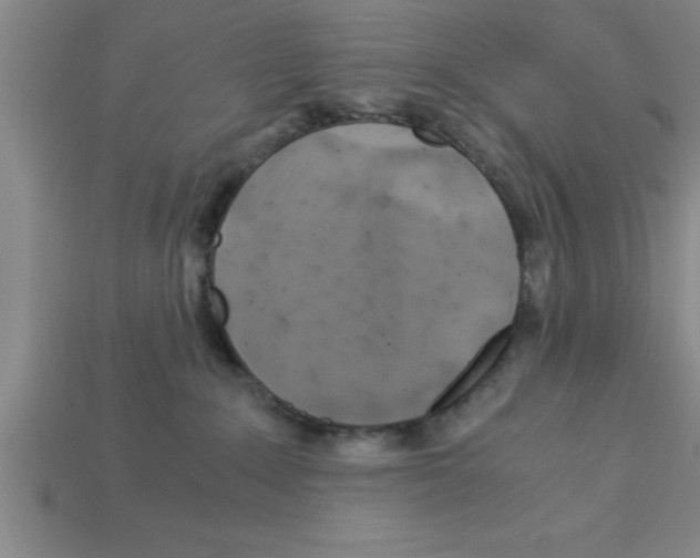 X0000112880235200910021359