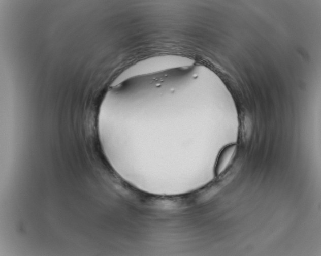 X0000112880236200910021359