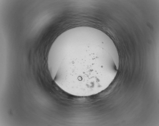 X0000112880237200910021359