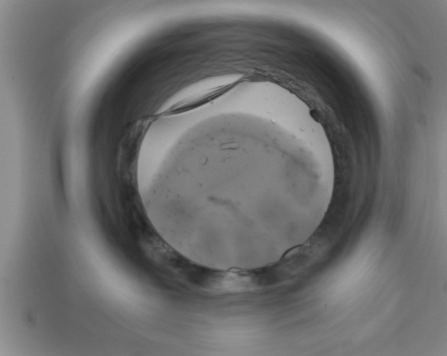 X0000112880239200910021359