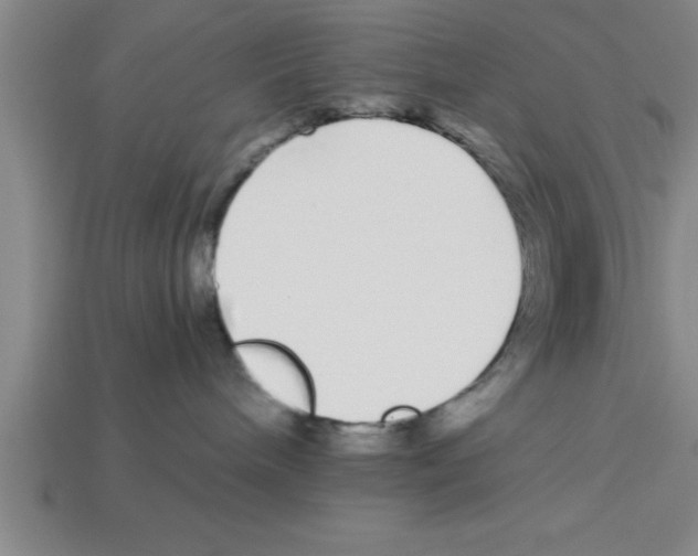 X0000112880240200910021359