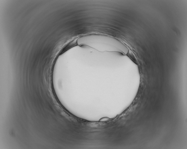 X0000112880241200910021358