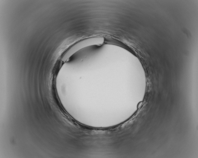 X0000112880242200910021358