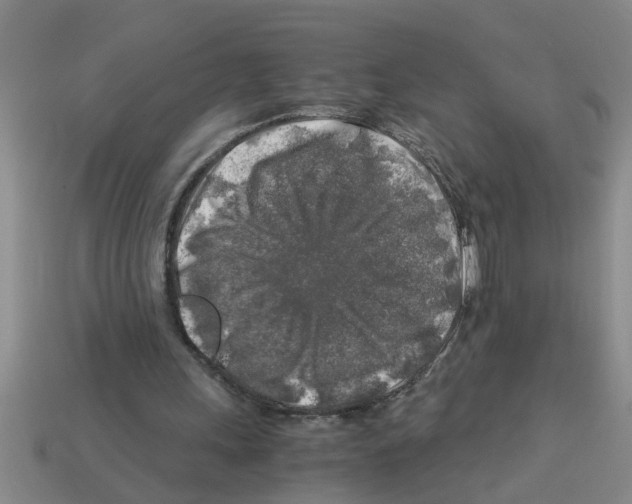 X0000112880243200910021358